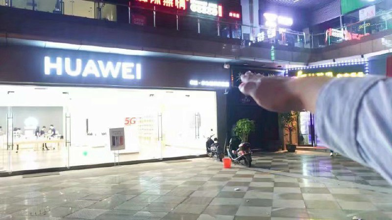 草？草？