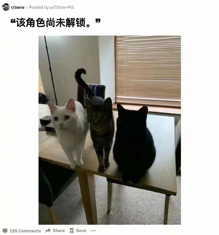 #投稿